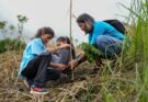 Más de 1,300 hectáreas serán reforestadas en Panamá como parte de estrategia ambiental
