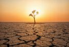 Panamá activa comisión de alto nivel ante posibles efectos del fenómeno de El Niño