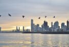 La Voz de APEDE: Panamá necesita instituciones más sólidas para competir por inversión